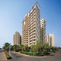 Premium Quality Homes For Discerning Tastes At M3M Flats In Gurgaon