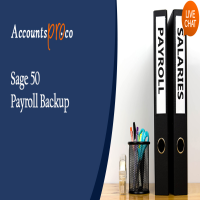 Sage 50 Payroll Backup Help